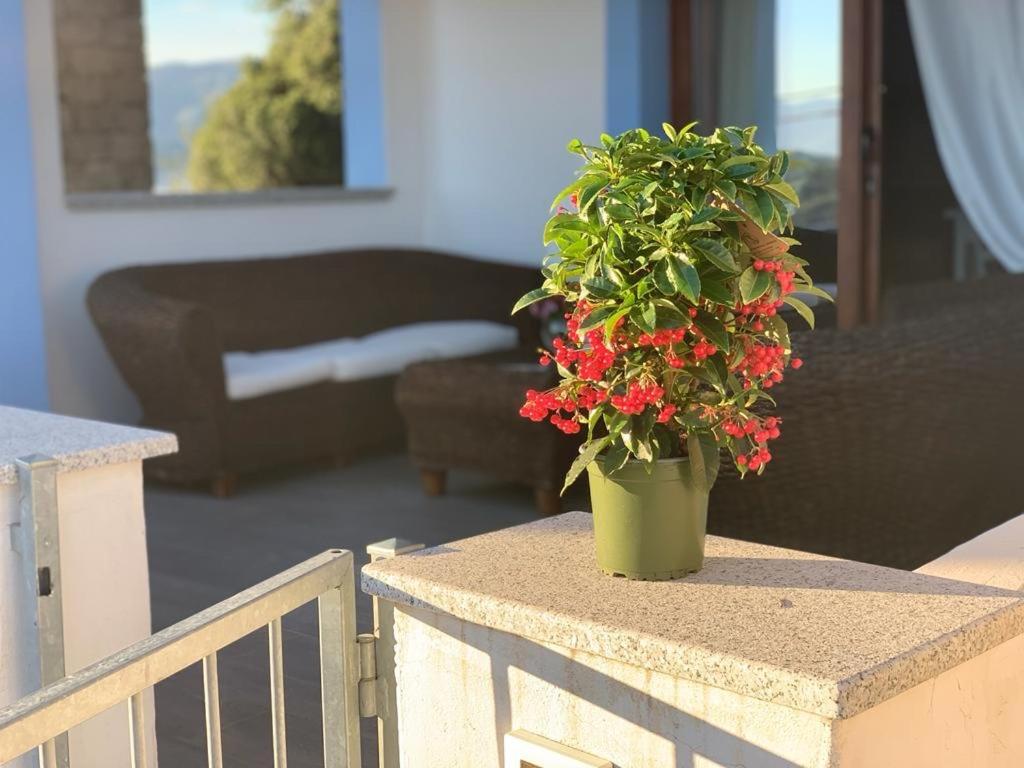 La Maison De La Mer Posada Kültér fotó